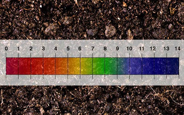 افزایش pH خاک