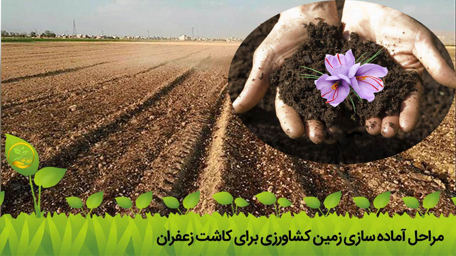 آماده سازی زمین برای کاشت زعفران