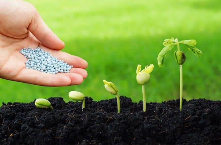 فروش گوگرد گرانول | خرید مستقیم با بهترین قیمت از زرین کود