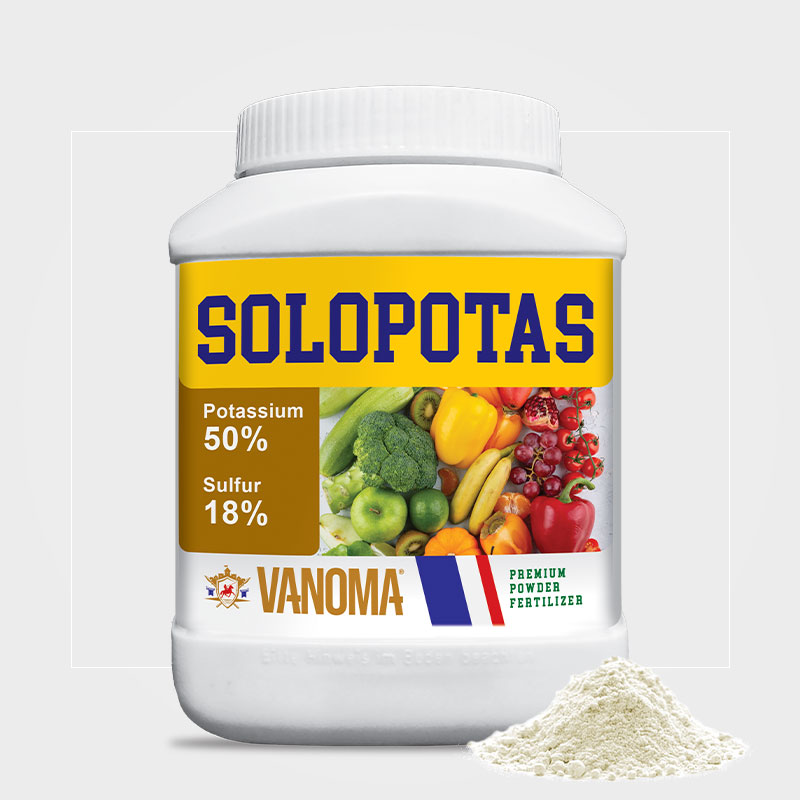 فروش سولوپتاس فروش سولوپتاس